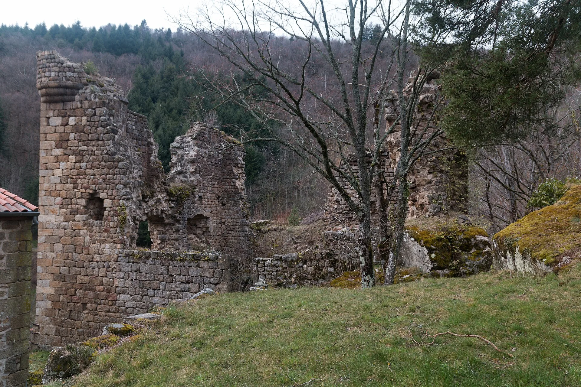 Château d'Argental, Bourg-Argental – Loire