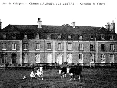 Château d'Aumeville