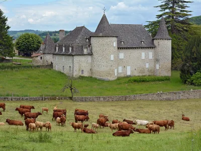 Château d'Entraigues