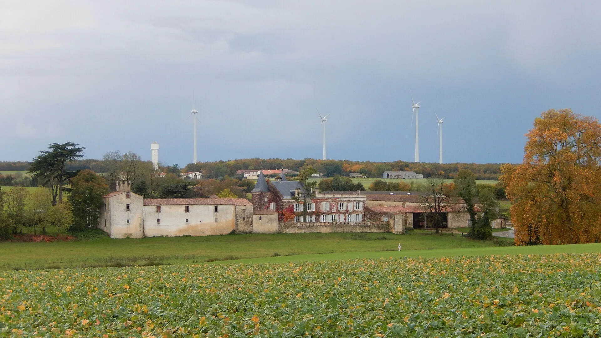 Château de Bignay