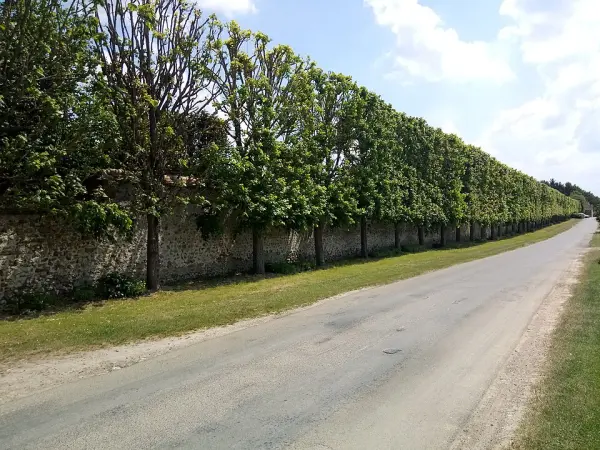 Château de Bouglainval
