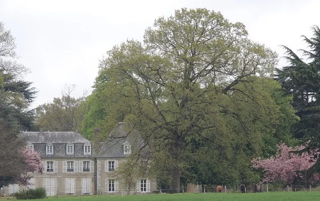 Château de Bouthonvilliers, Dangeau – Eure-et-Loir