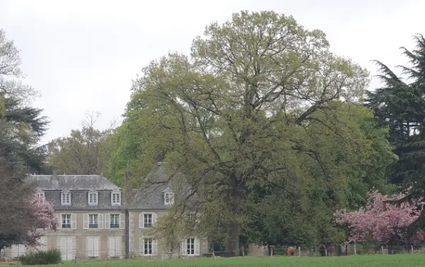 Château de Bouthonvilliers