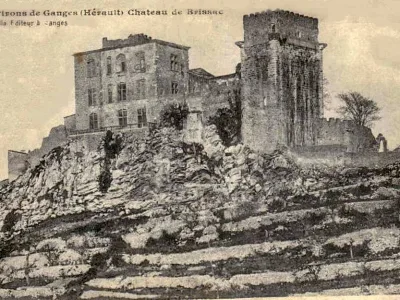 Château de Brissac