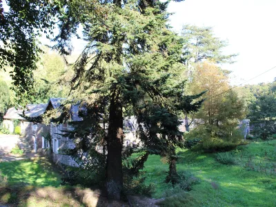 Château de Castillon