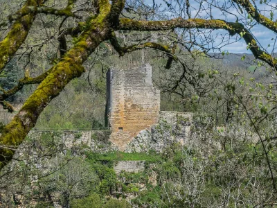 Château de Caylus