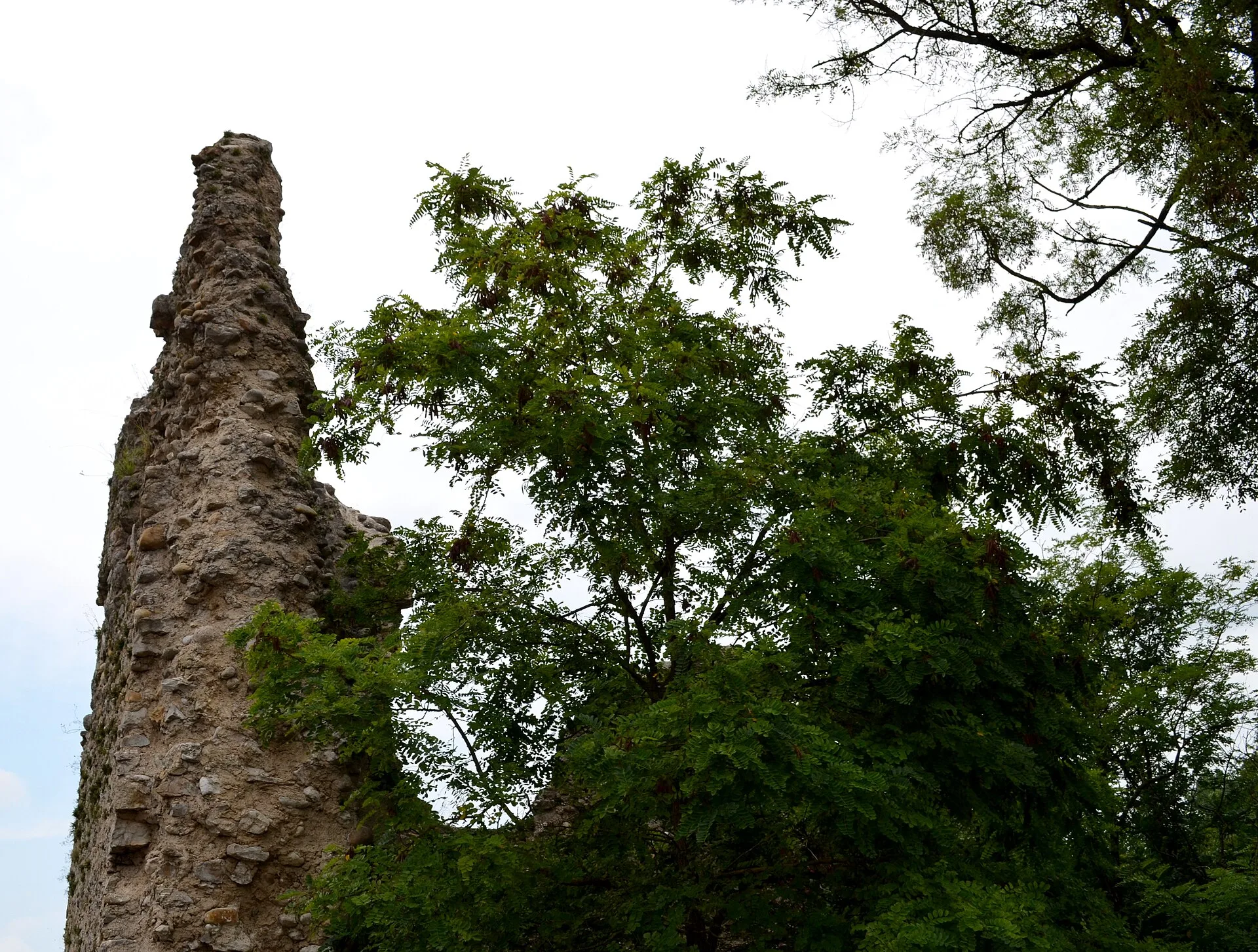 Château de Château-Gaillard