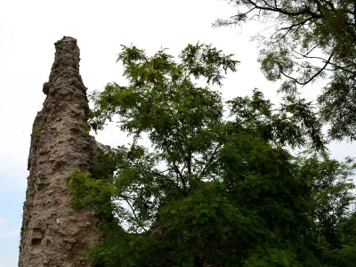 Château de Château-Gaillard