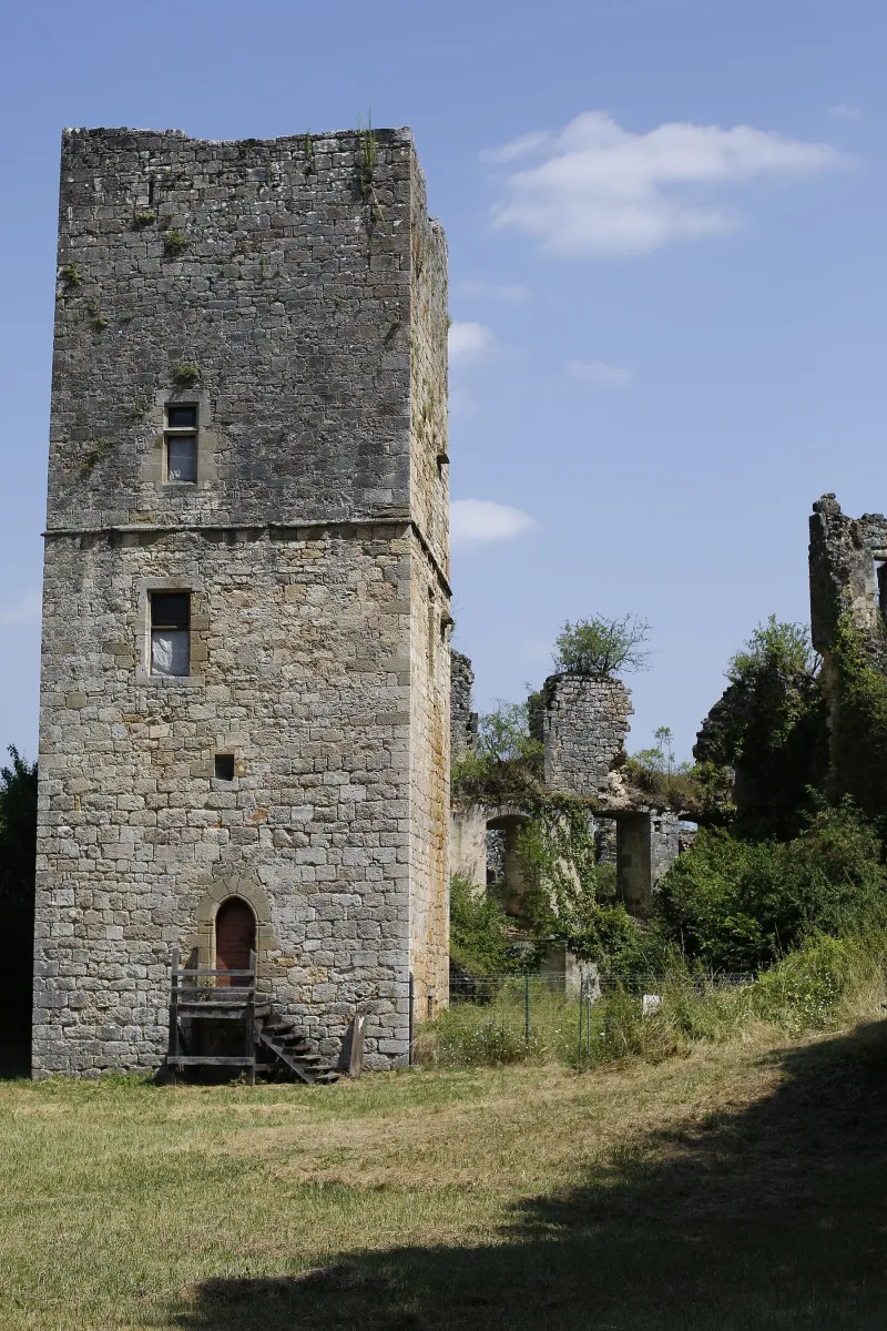 Château de Couzage