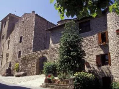 Château de Désaignes