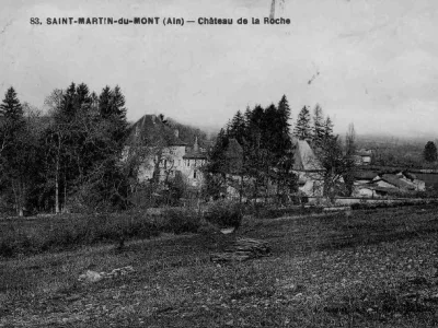 Château de La Roche