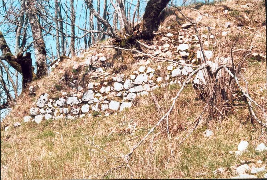 Château de Longecombe