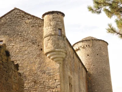 Château de Mas Rougier