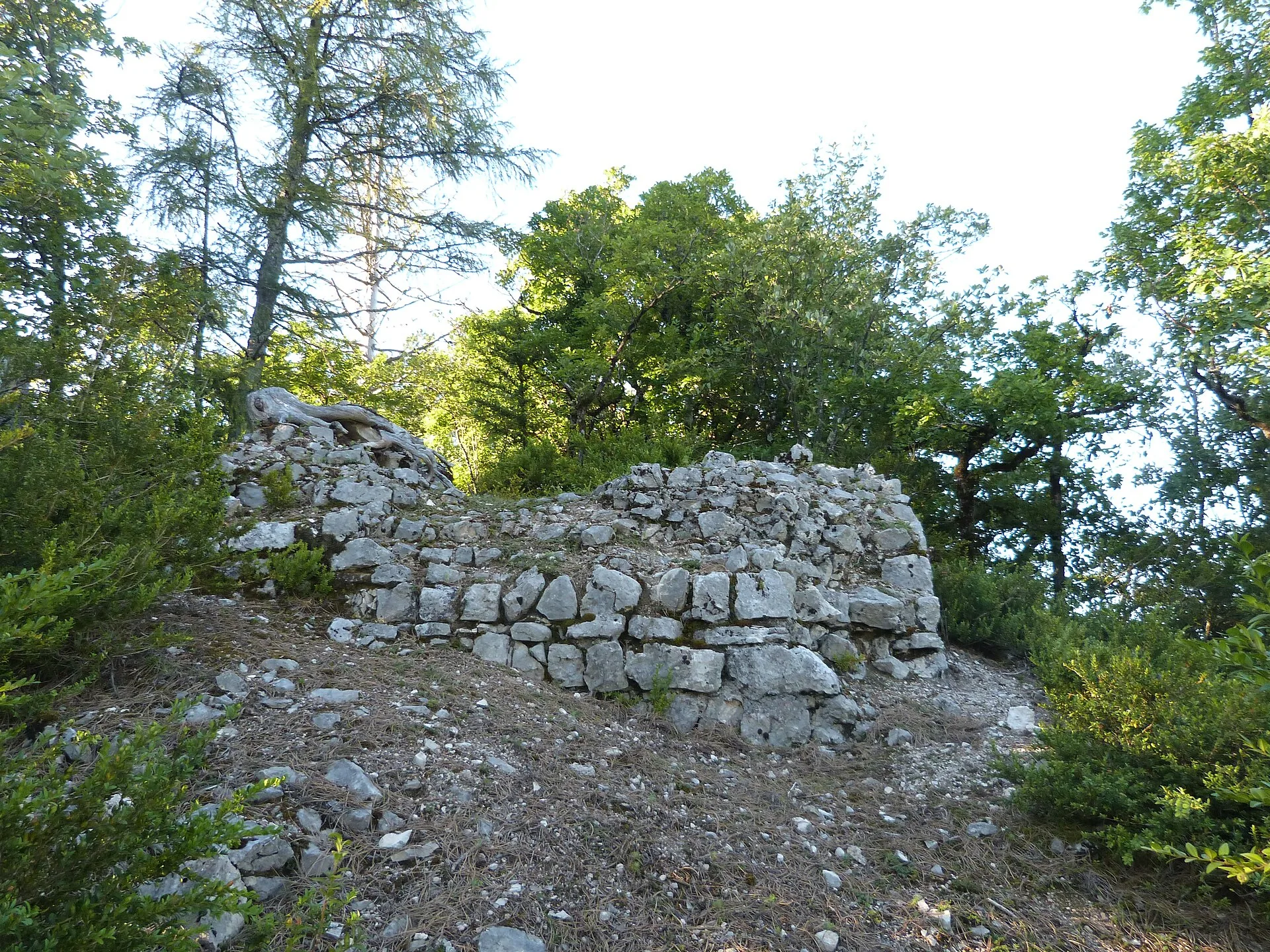 Château de Montréal