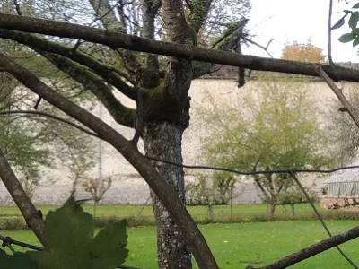 Château de Paley