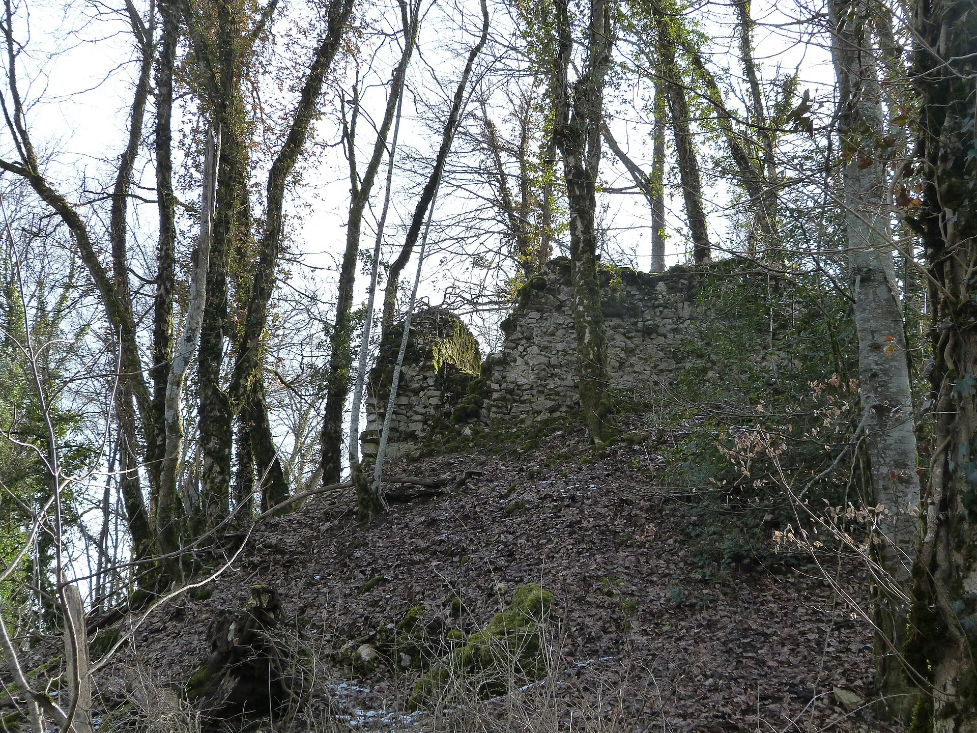 Château de Rougemont