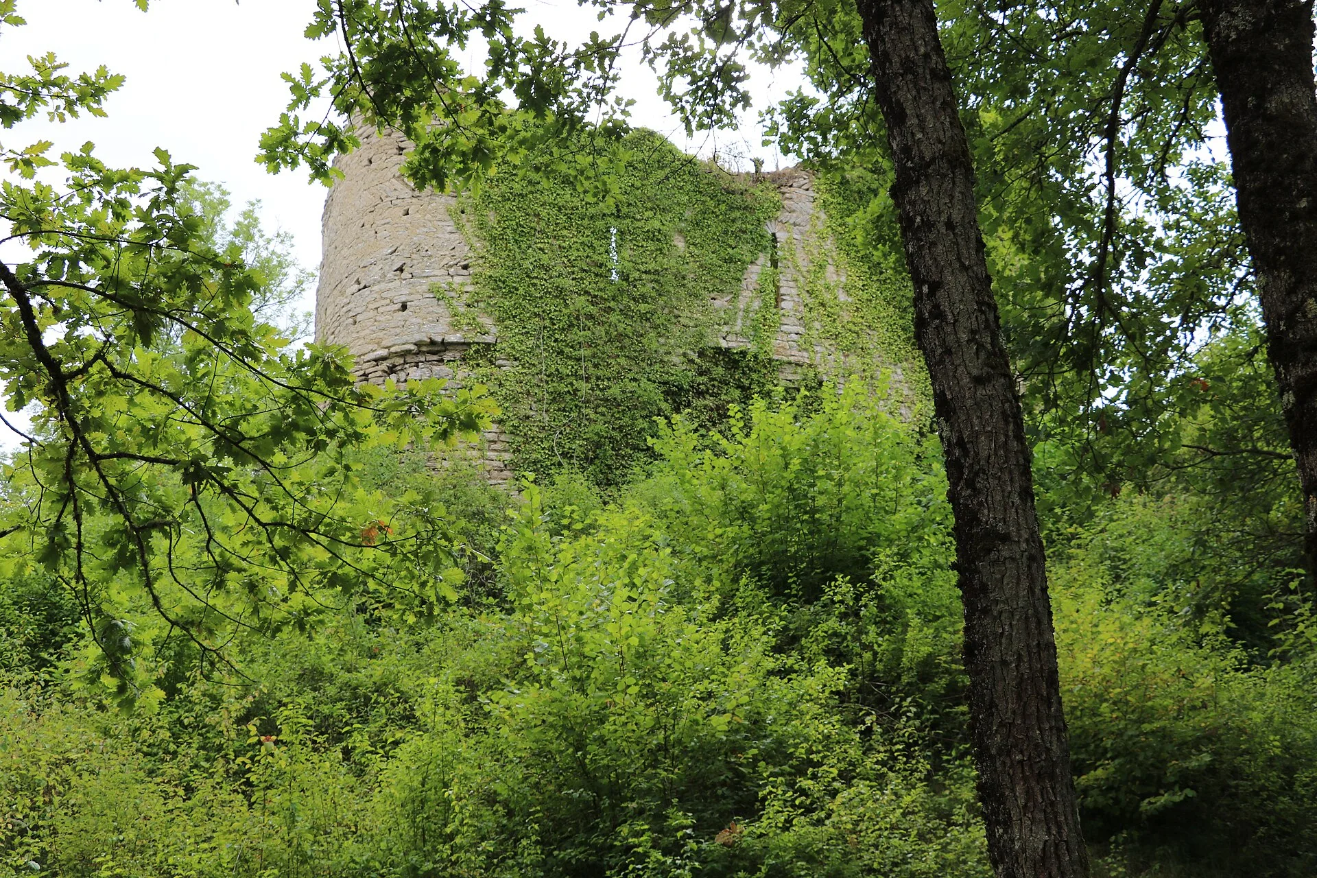 Château de Rougemont