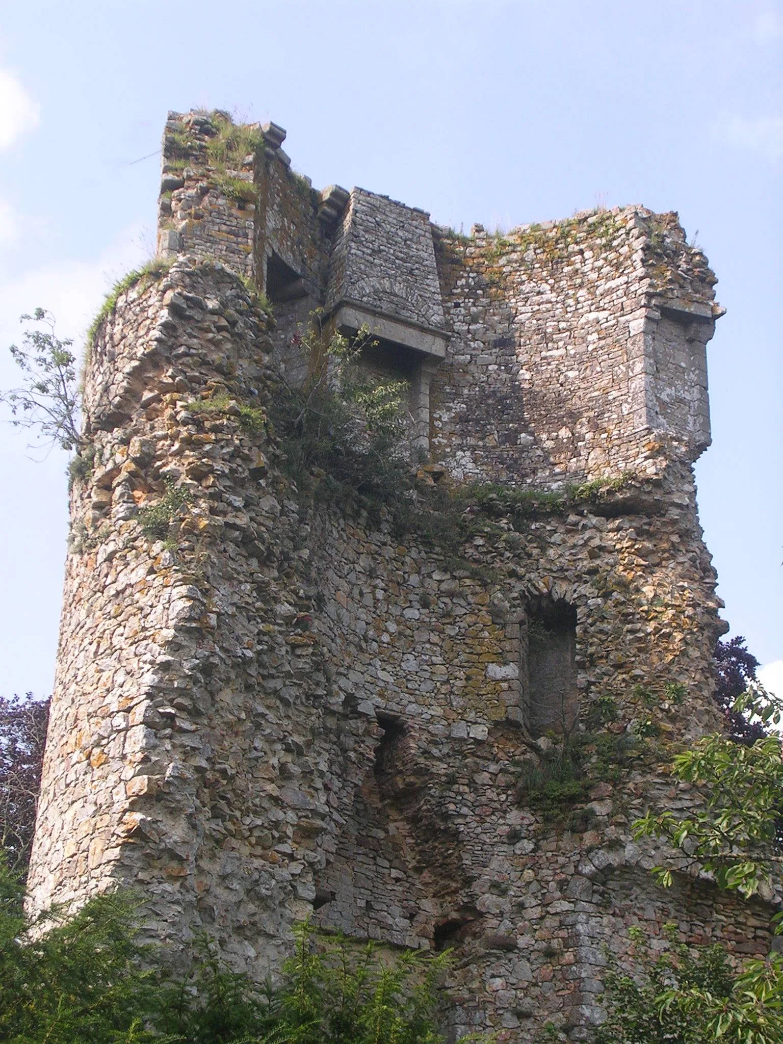 Château de Saint-Aubin-du-Cormier, Saint-Aubin-du-Cormier – Ille-et-Vilaine