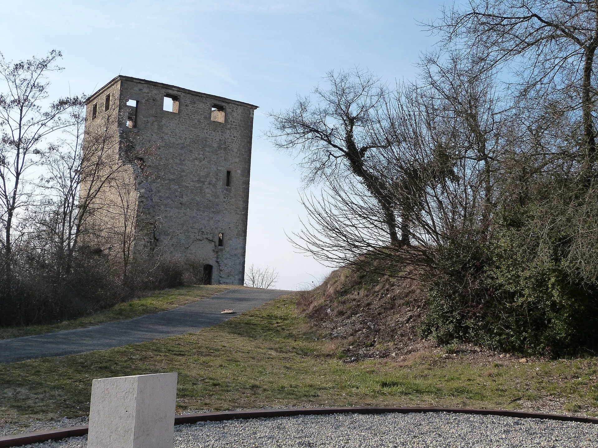 Château de Saint-Denis-en-Bugey