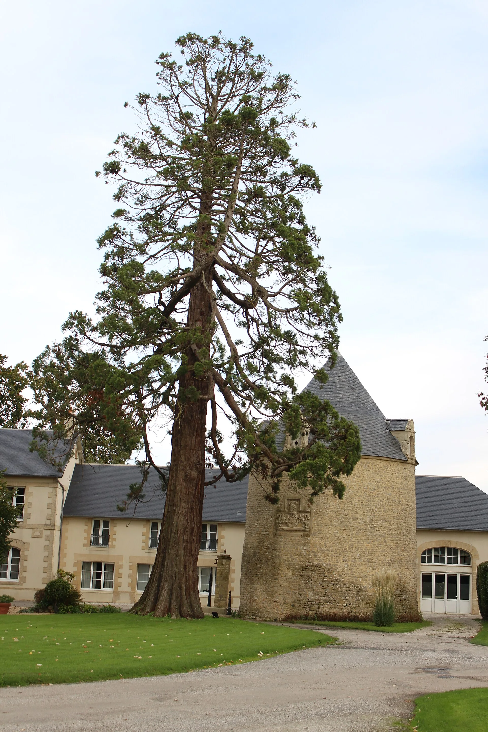 Château de Sully