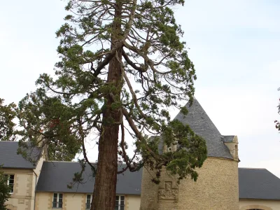 Château de Sully