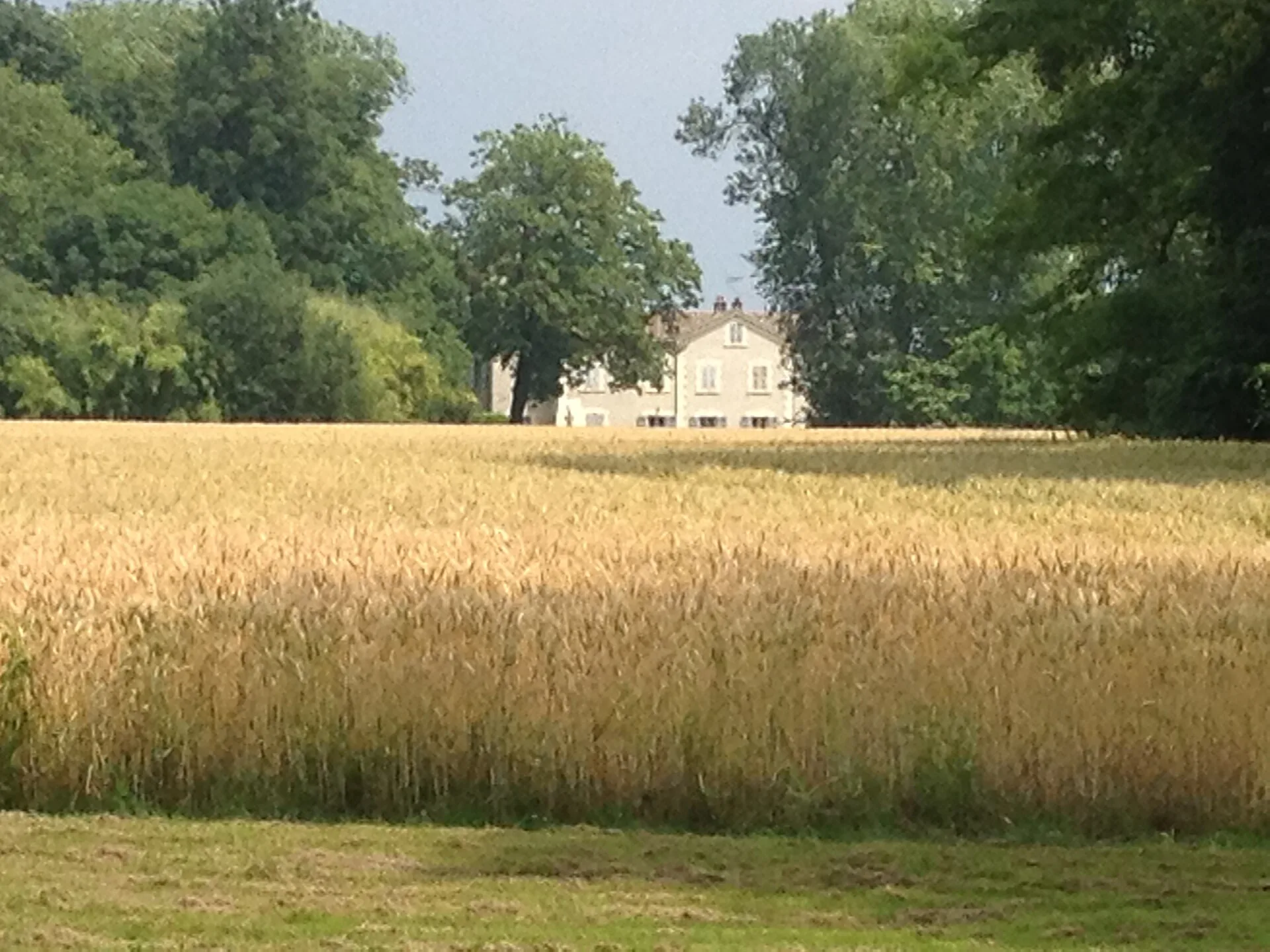 Château de Sure