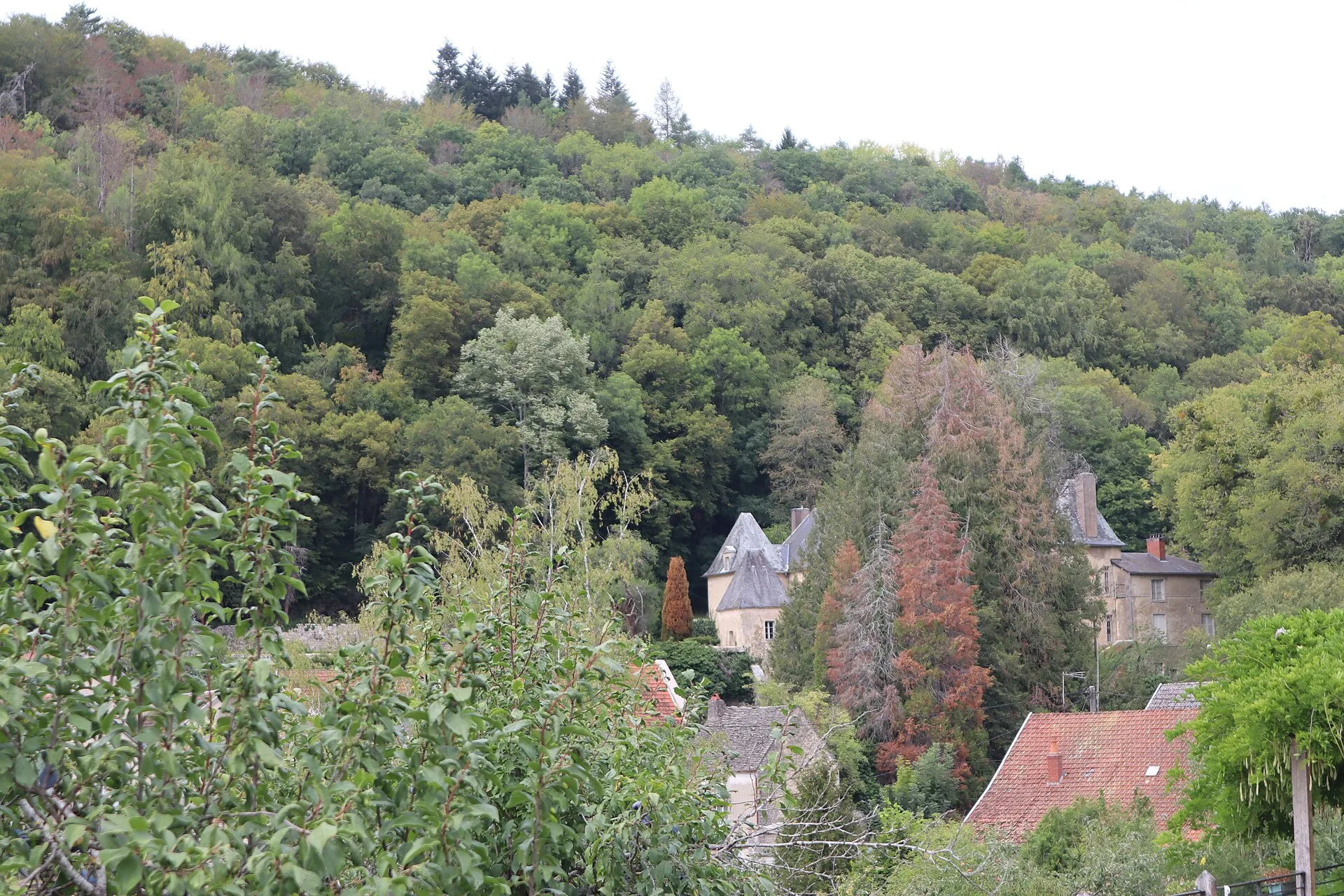 Château de Villotte-Saint-Seine