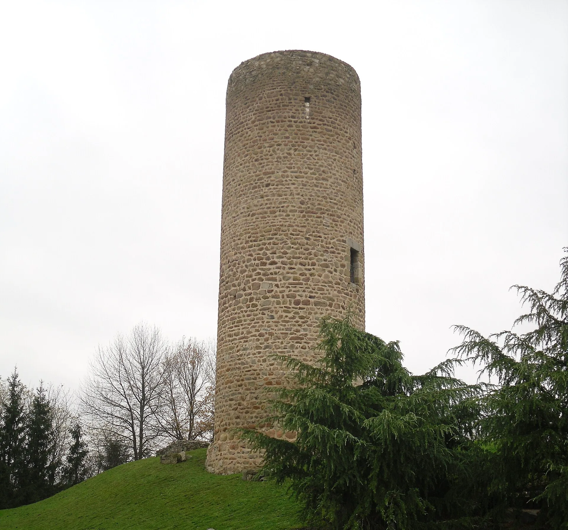 Château des comtes de Forez, Cleppé – Loire