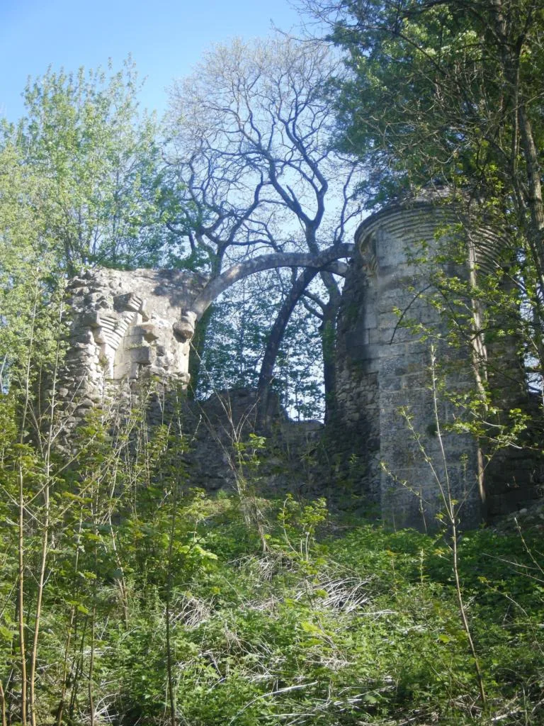 Château des comtes de Nevers, Montenoison – Nièvre