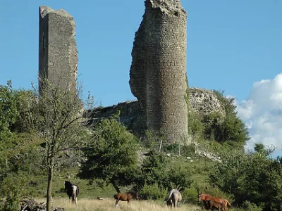 Château des comtes de Poitiers