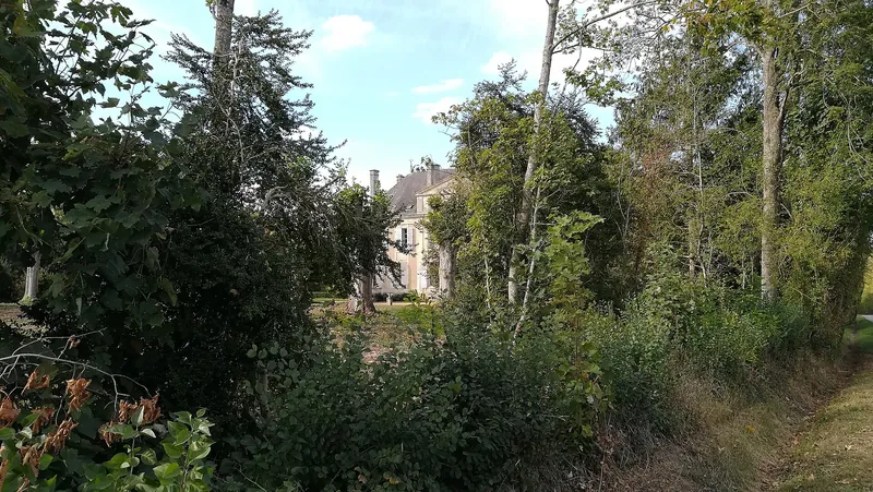 Château des Joncherets