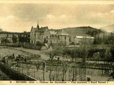Château des Seychallets