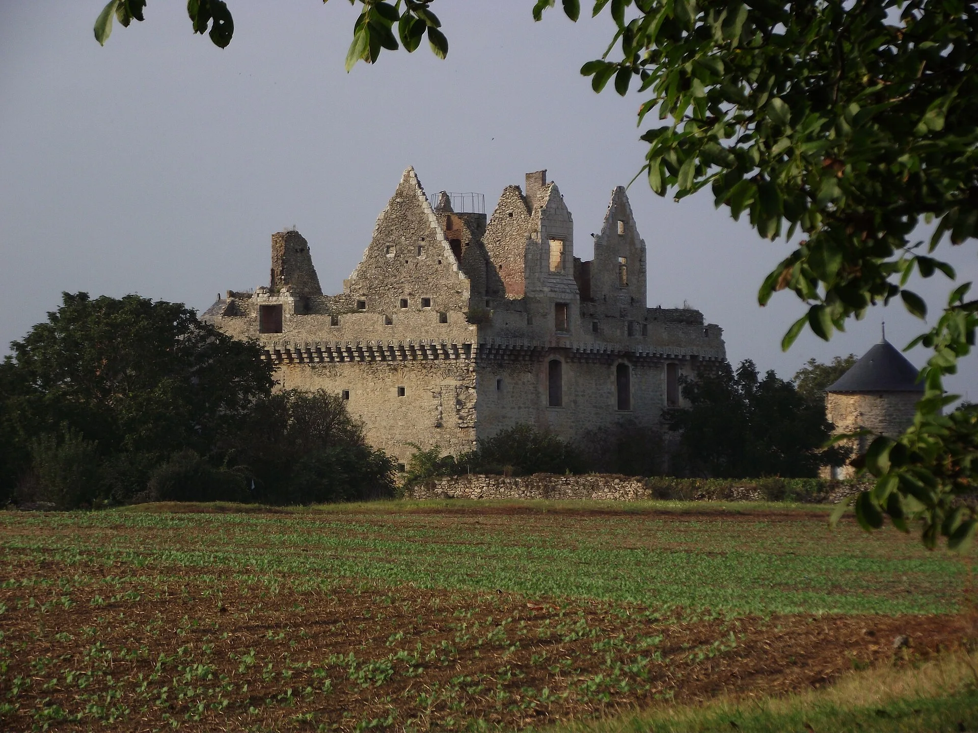 Château du Grand-Riou, Lys-Haut-Layon – Maine-et-Loire