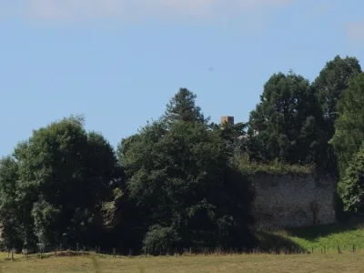 Château du Vieux-Lavardin