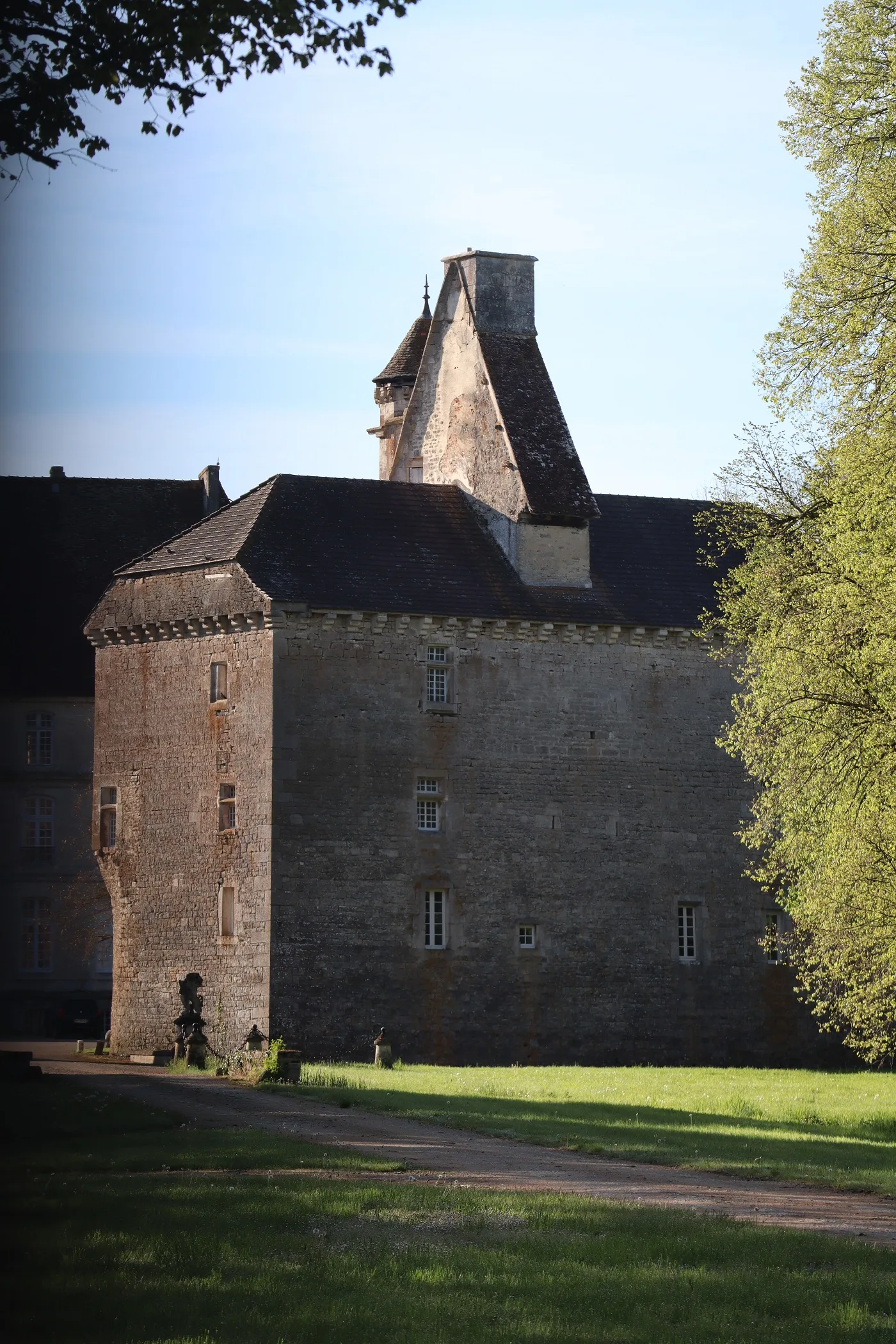 Château vieux de Thenissey