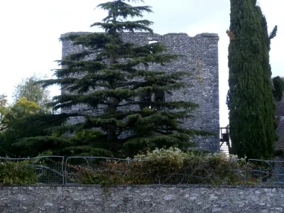 Donjon de Cigogné