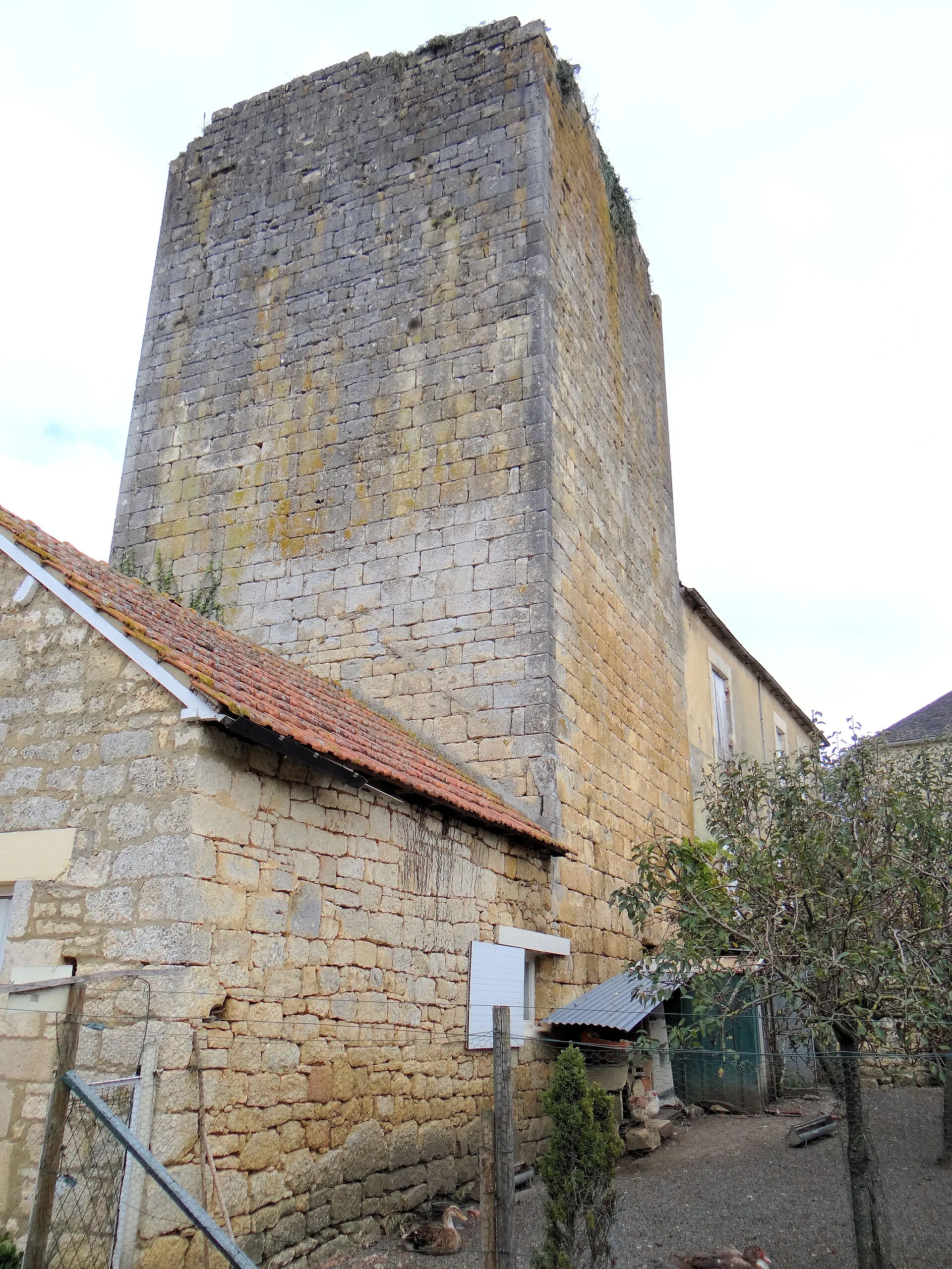 Donjon de Jayac, Jayac – Dordogne