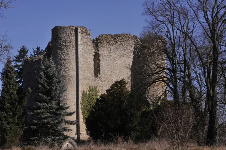 Donjon de Jouy
