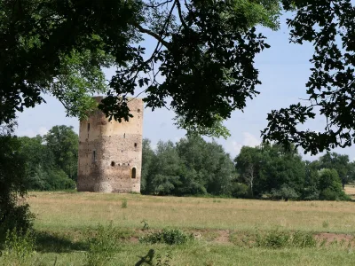 Donjon de Lespinasse