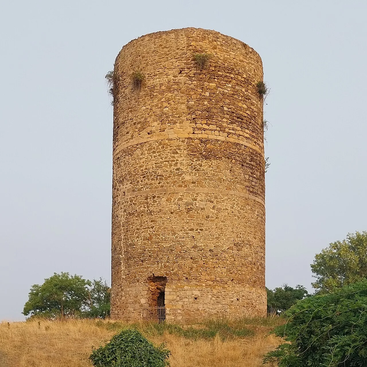 Donjon de Ronnet