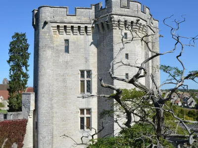 Donjon de Vez