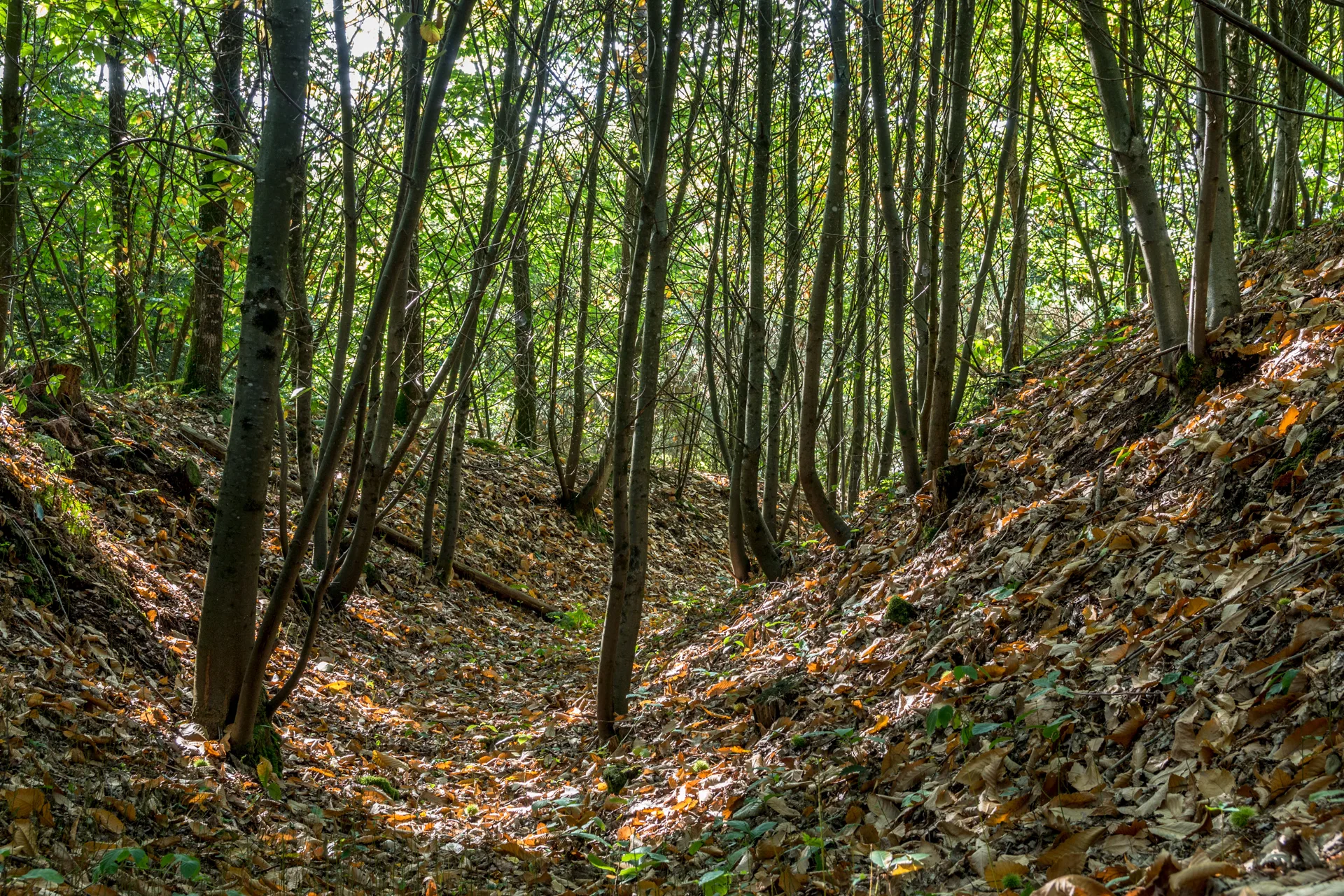 Enceinte de terre de la Bigotais, Campel – Ille-et-Vilaine