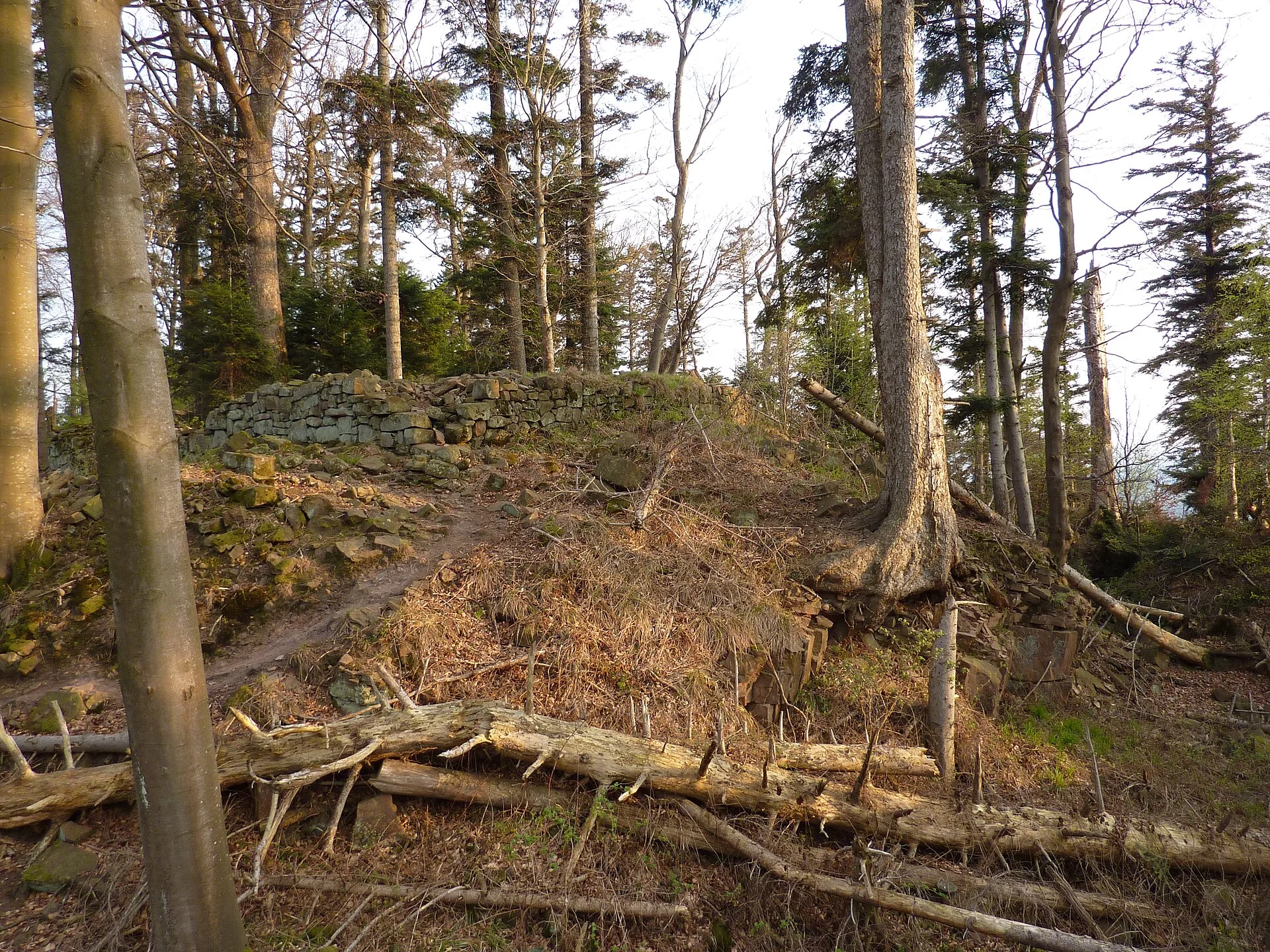 Fortifications gallo-romaines sur le Ringelsberg