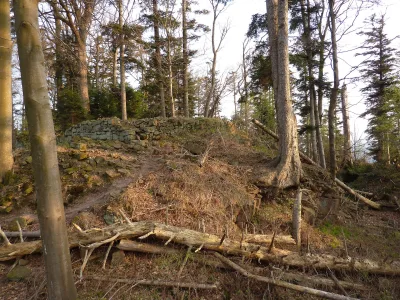 Fortifications gallo-romaines sur le Ringelsberg