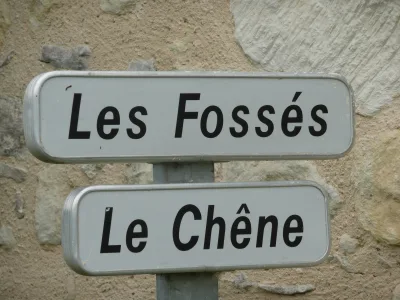 Fossés des Romains