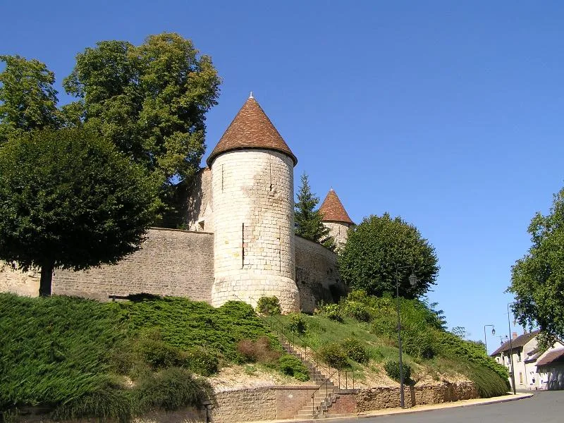 Hôtel ou maison dite de Charles VII (anciennement le Château Vieux)