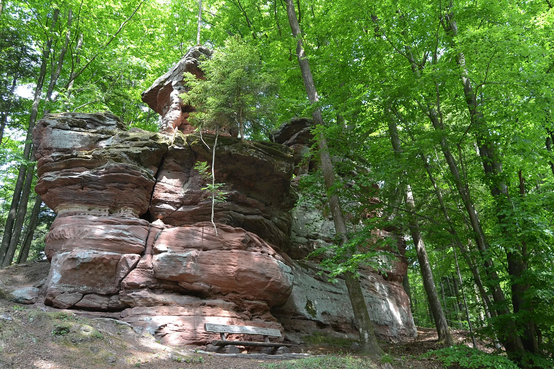 Klingelfelsen, Niedersteinbach – Bas-Rhin