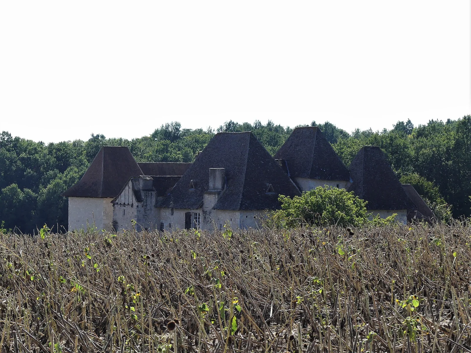 Manoir de l'Aubespin, Monsaguel – Dordogne