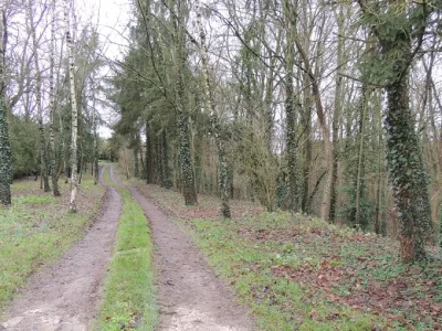 Motte castrale de Prasville