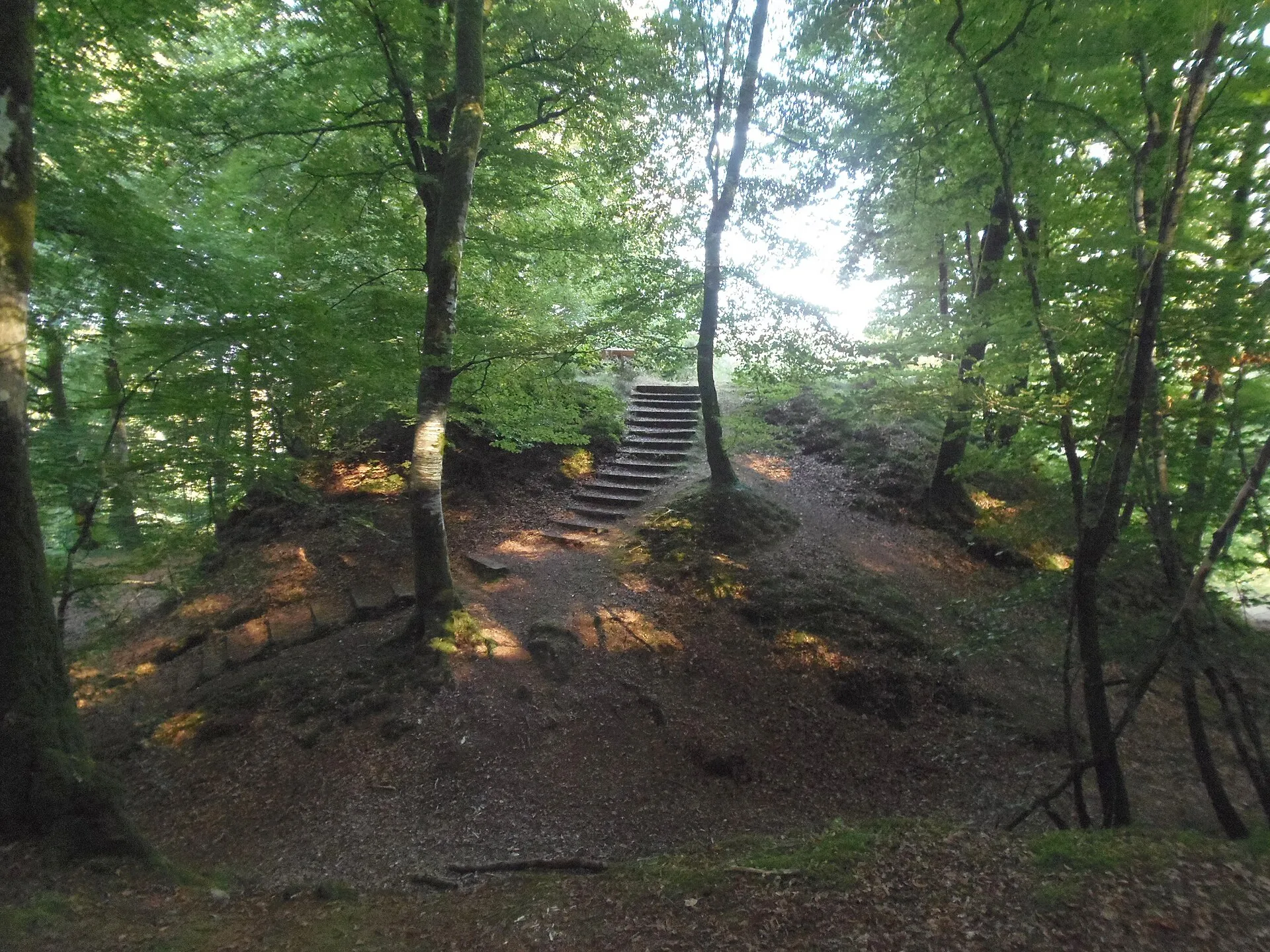 Motte castrale de Saint-Sever-Calvados